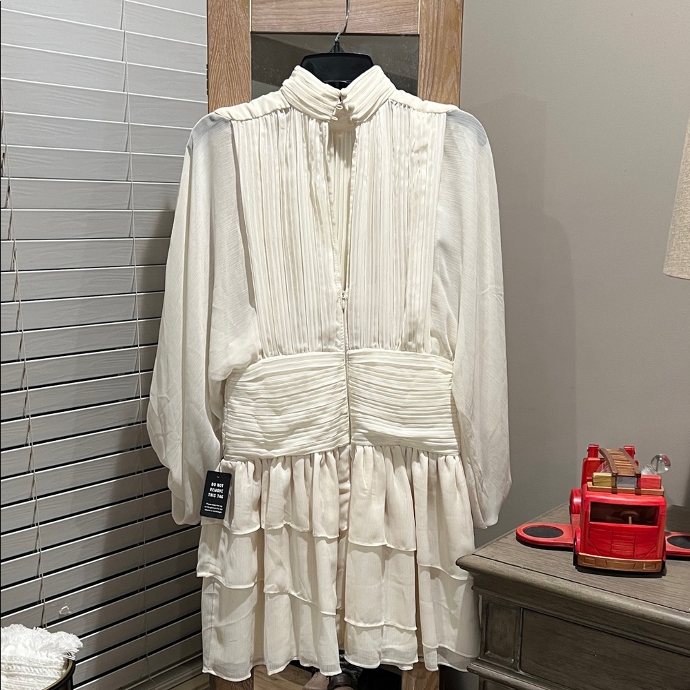Express Dress - Picture 2 of 5